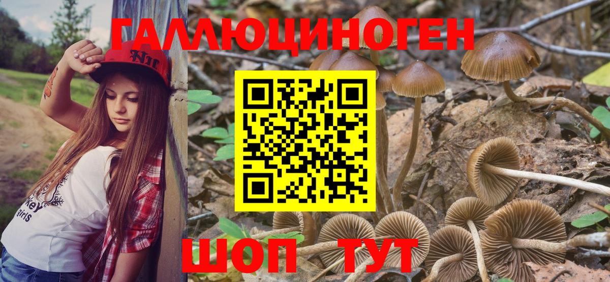 Чебоксары  Галлюциногенные грибы MAGIC MUSHROOMS  Вход с VPN 